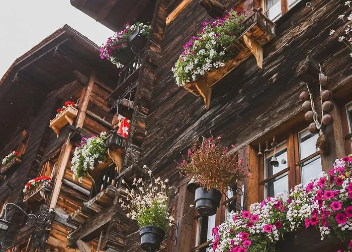 Guerneres & By Alpine